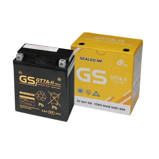 Ắc quy GS GT7A-H (12V-7Ah)