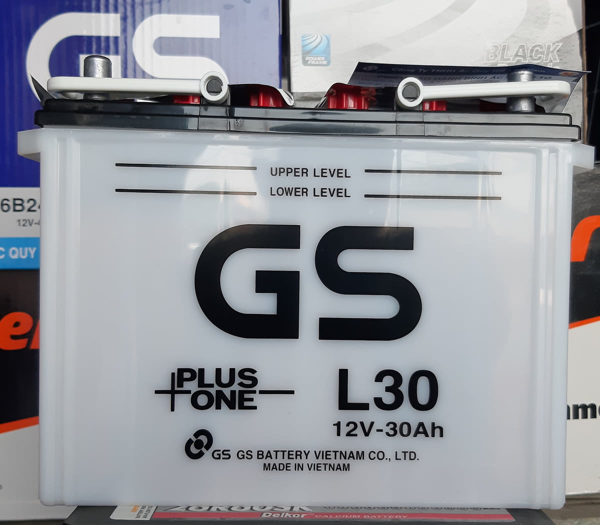 GS L30
