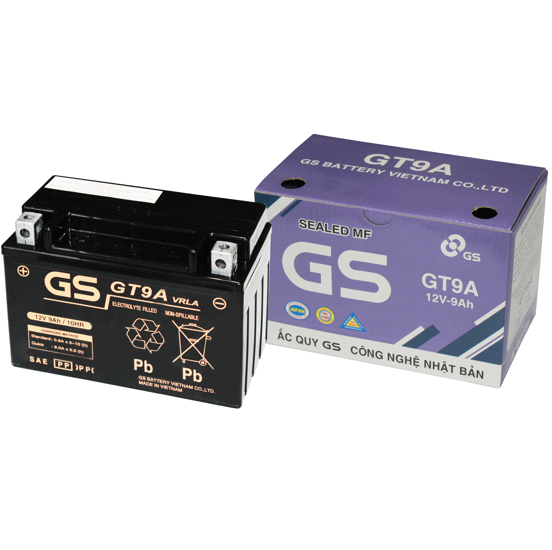 Ắc quy khô GS GT9A (12v-9ah)